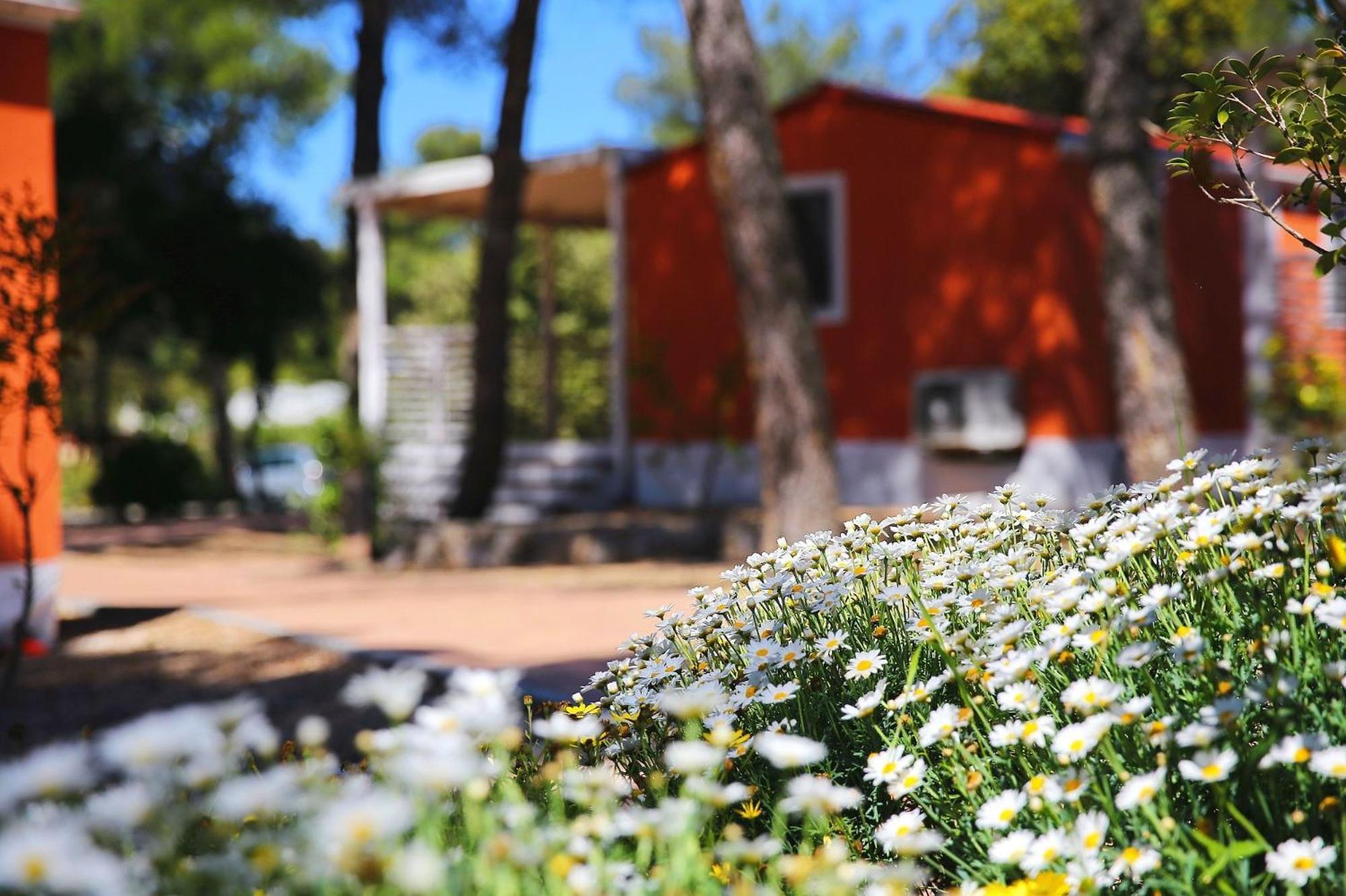 Park Soline Mobile Homes Biograd na Moru